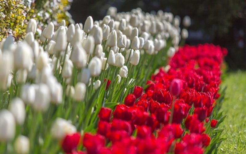 Dzień Flagi RP oraz 229. rocznica Uchwalenia Konstytucji 3 Maja