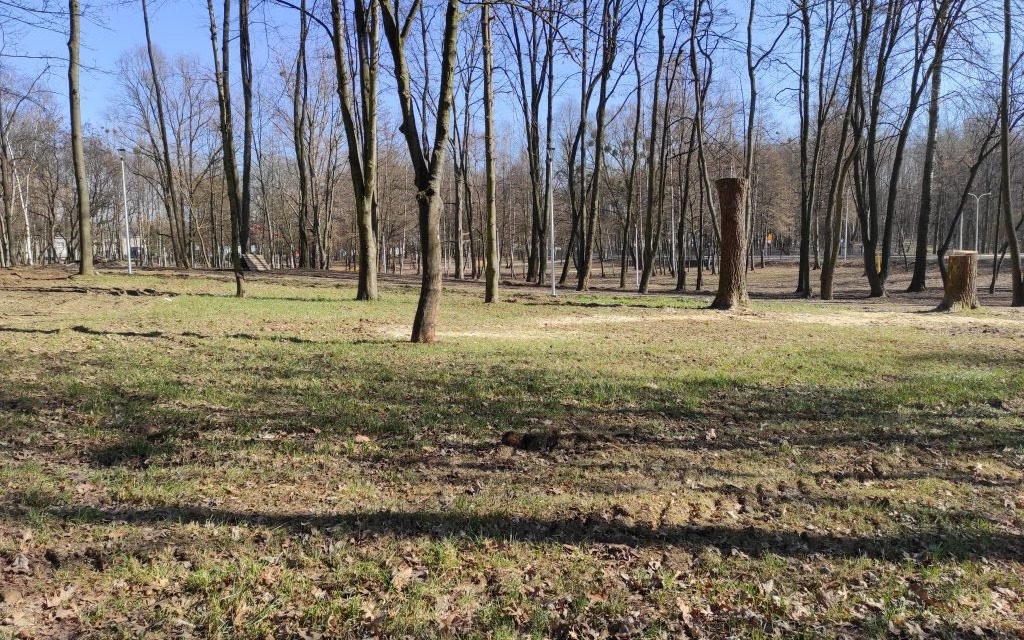 Oświęcim. Atrakcyjny park otworzy się w połowie roku