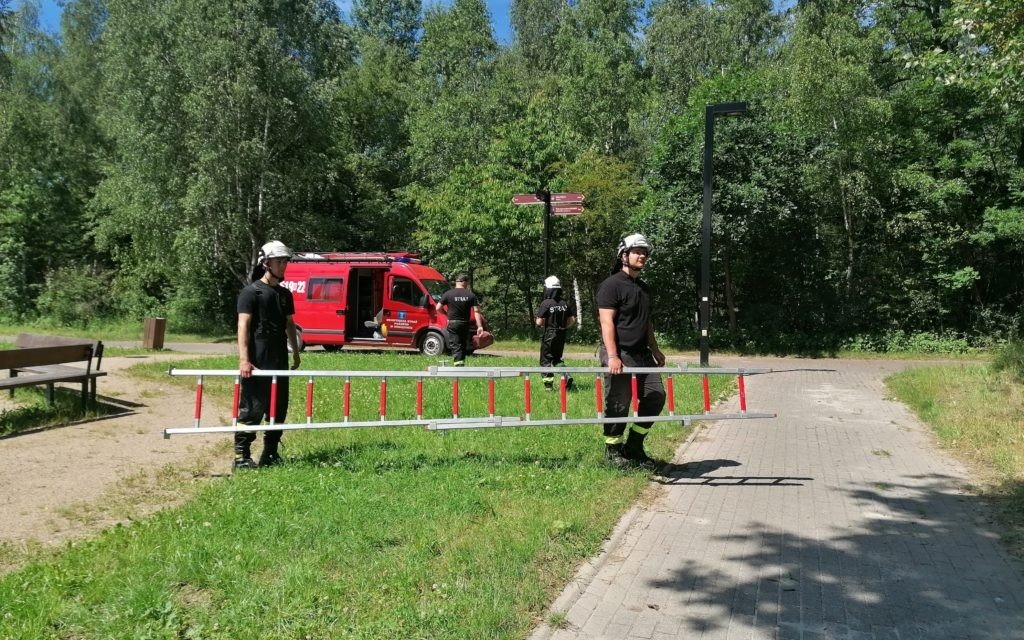 Oświęcim. Domki dla ptaków w parku Pojednania Narodów na Kamieńcu
