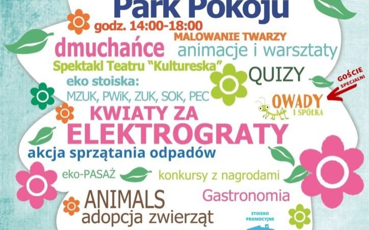 Oświęcim. Ekomajówka w parku Pokoju