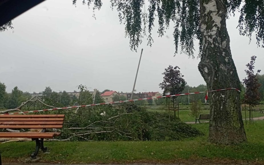 Oświęcim. Trwa sprzątanie po nocnej nawałnicy
