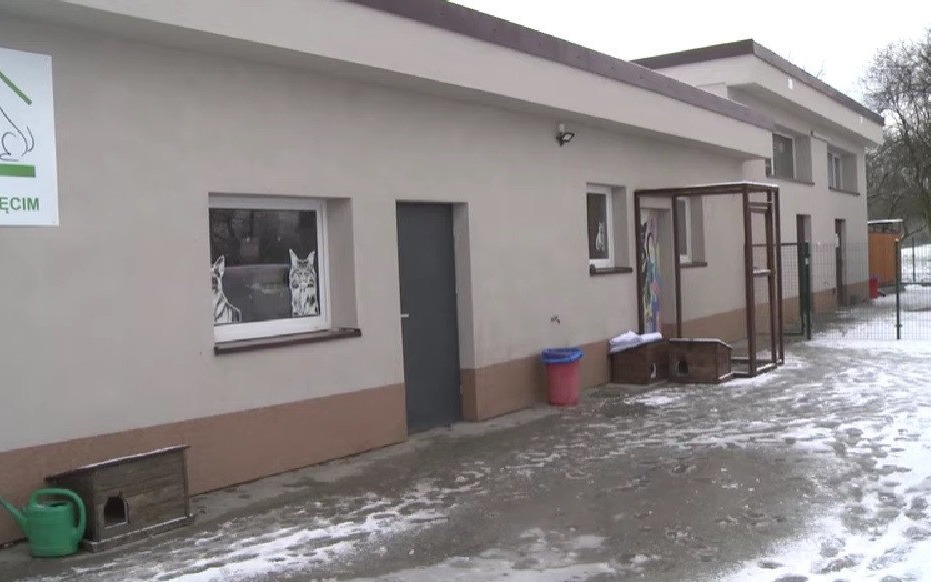 Oświęcim. Mieszkańcy wybiorą nazwę dla schroniska dla bezpańskich psów i kotów