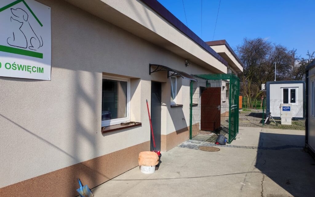 Oświęcim. Znamy nazwę schroniska dla bezdomnych zwierząt