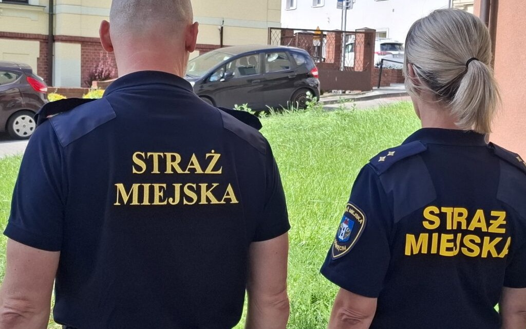Oświęcim. Nowy referat w Straży Miejskiej. Strażnicy zajmą się nieprawidłowo zaparkowanymi samochodami