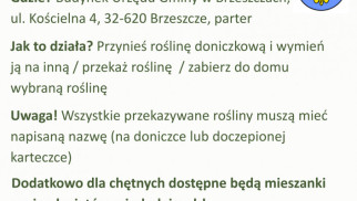 Giełda kwiatowa w Urzędzie Gminy – przynieś, wymień, zabierz rośliny! - InfoBrzeszcze.pl
