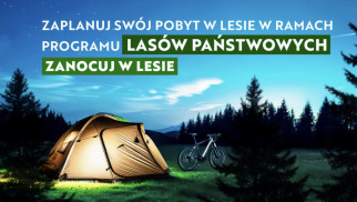 Jak legalnie zanocować w lesie? Przewodnik dla rowerzystów i miłośników natury