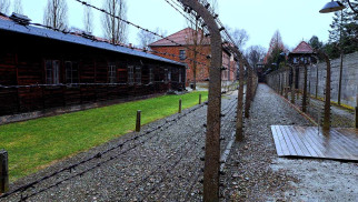 Oświadczenie starosty oświęcimskiego i dyrektora Muzeum Auschwitz w sprawie szokujących i oburzających słów europosła Brauna