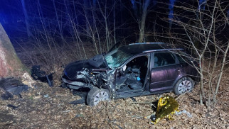 Pijany kierowca uderzył w drzewo. Trafił do szpitala z poważnymi obrażeniami