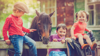 Półkolonia Hobby Horse: Wakacyjna zabawa dla dzieci