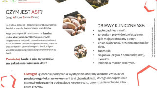 Powiatowy lekarz weterynarii w Oświęcimiu informuje o rozprzestrzenianiu się na terytorium Polski zakaźnej choroby wirusowej ASF