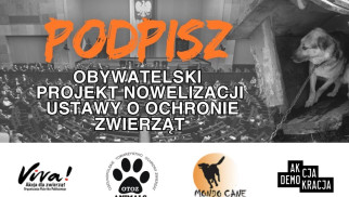 Rewolucyjne zmiany w ochronie zwierząt! Oświęcim zbiera podpisy – pomóż wprowadzić nowe prawa!