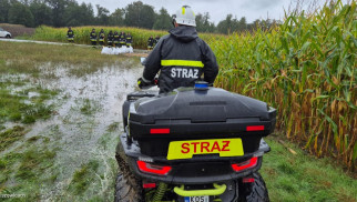 Rozlewisko w Brzeszczach. Strażacy zabezpieczają domostwa – FOTO