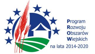 Rusza rozbudowa drugiego odcinka drogi powiatowej w Polance Wielkiej