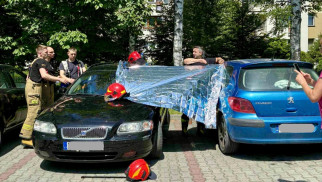 Turyści zostawili owczarka w nagrzanym samochodzie – FOTO