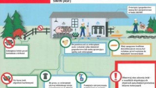 Apel Powiatowego Lekarza Weterynarii w Oświęcimiu do hodowców trzody chlewnej