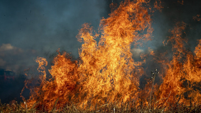 ARiMR przypomina: wypalanie traw jest karalne - InfoBrzeszcze.pl