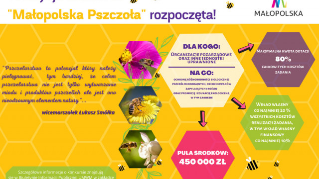 Blisko pół miliona na inicjatywy pszczelarskie