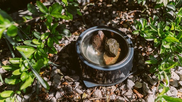 Cafe Bergson podpowiada, jak dbać o planetę – FOTO