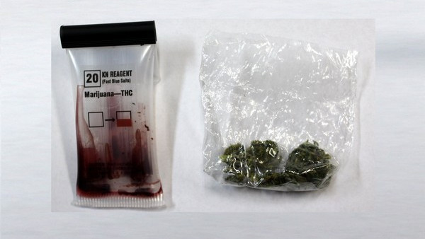 CHEŁMEK. 16 latek zatrzymany z marihuaną