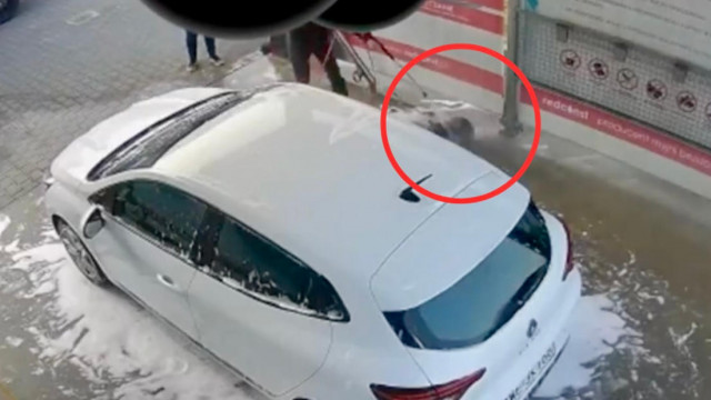 Debil mył psa na myjni samochodowej – FILM