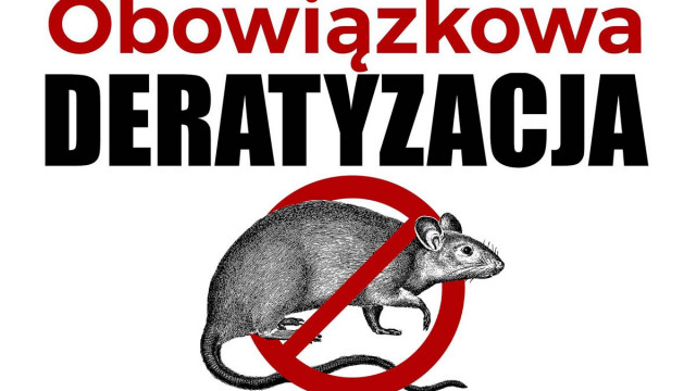 Deratyzacja na terenie Gminy Brzeszcze - InfoBrzeszcze.pl