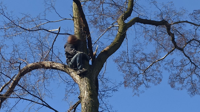 Dramatyczna akcja we Włosienicy. Mężczyzna zasłabł na drzewie – ZDJĘCIA!