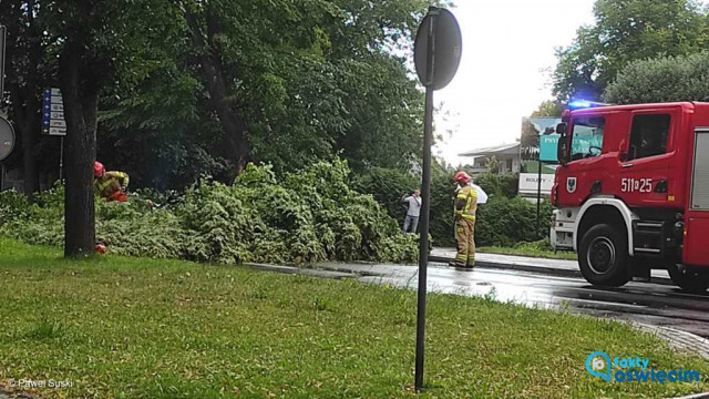 Drzewo zablokowało główną arterię Oświęcimia – FOTO