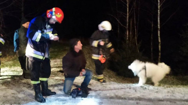 Dwa psy dryfowały na krze. Uratowali je strażacy – FOTO