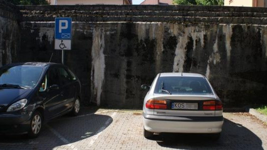 Garść Karnych Łosi na początek tygodnia – FOTO