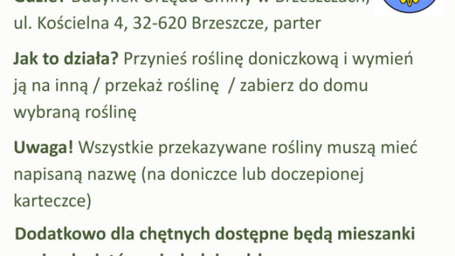 Giełda kwiatowa w Urzędzie Gminy – przynieś, wymień, zabierz rośliny! - InfoBrzeszcze.pl