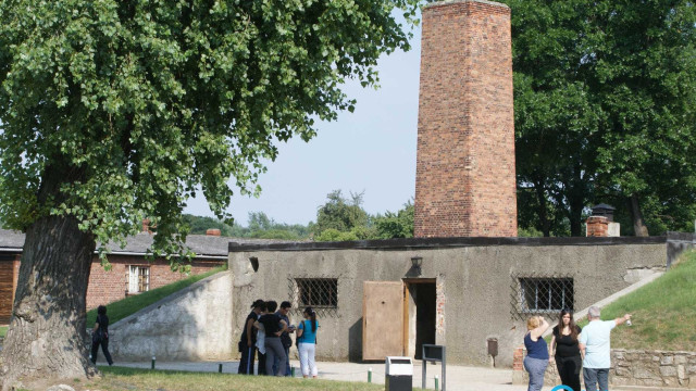 Grzegorz Braun neguje istnienie komór gazowych w Auschwitz
