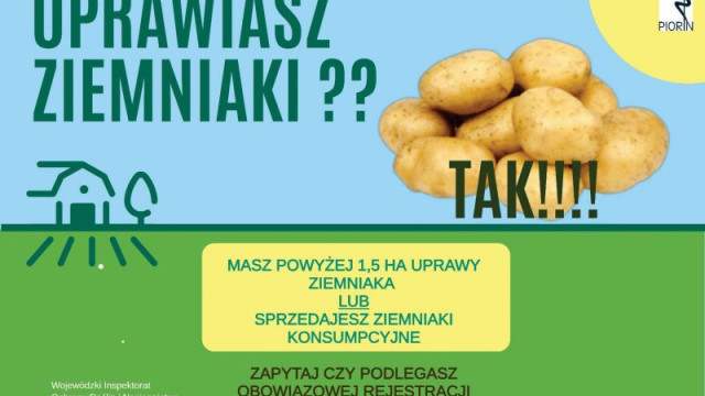 Informacja dotycząca rejestracji podmiotów uprawiających i sprzedających ziemniaki konsumpcyjne