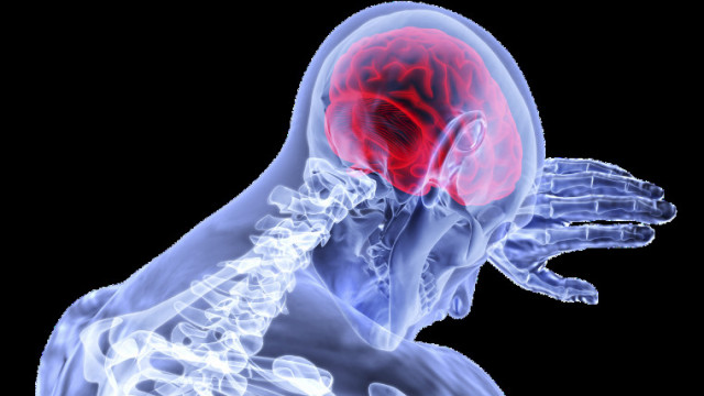 Jak ustrzec się udaru mózgu? Skorzystaj z bezpłatnych i bezbolesnych badań sfinansowanych przez Powiat Oświęcimski