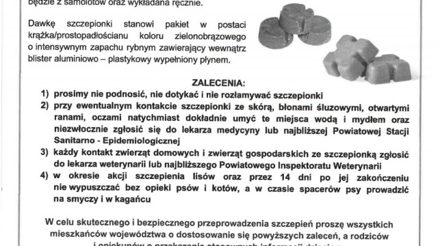 Jesienna akcja ochronnego szczepienia lisów przeciwko wściekliźnie w dniach od 23.09.2023 r. do 03.10.2023 r. - ZALECENIA