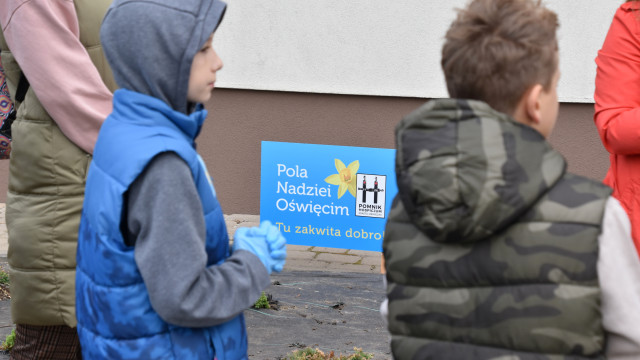 Kampania „Pola Nadziei”. Przed starostwem posadzono żonkile