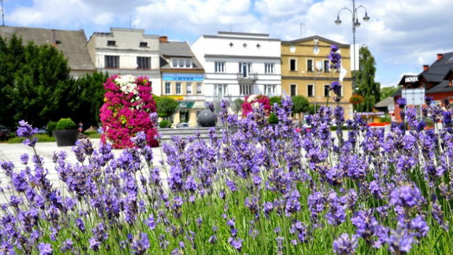 KĘTY. Najpiękniej Ukwiecone miasto w Polsce – Zagłosuj na Kęty!