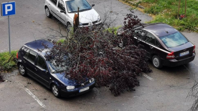 Kęty. Wiatr przewrócił drzewo na samochód. Spore straty