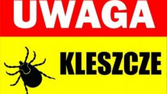Kleszcze w tym roku dają się we znaki. Poznaj FAKTY i MITY dotyczące tych pajęczaków