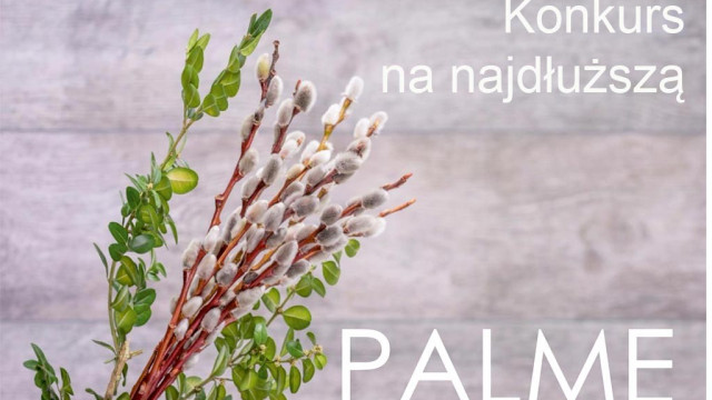 Konkurs na najdłuższą palmę