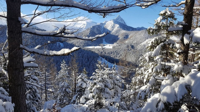 Kuligi Zakopane, tradycyjne sanie, regionalna kuchnia – szybko znikają kolejne terminy