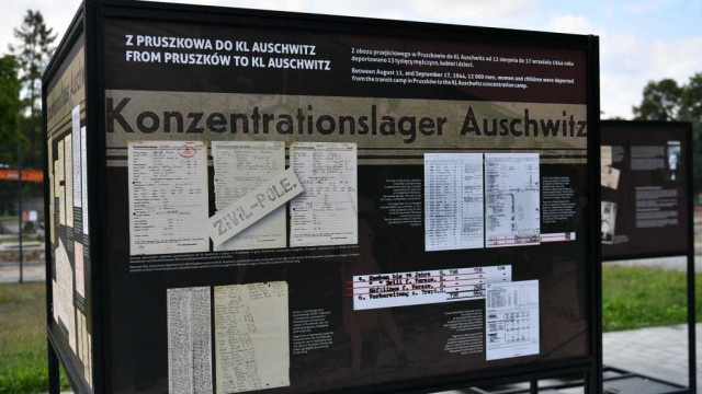 Ludność powstańczej Warszawy w KL Auschwitz – FOTO