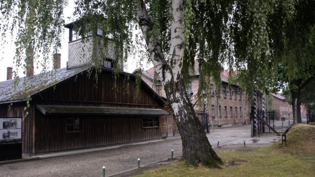 Muzeum Auschwitz zostanie tymczasowo otwarte dla zwiedzających - InfoBrzeszcze.pl