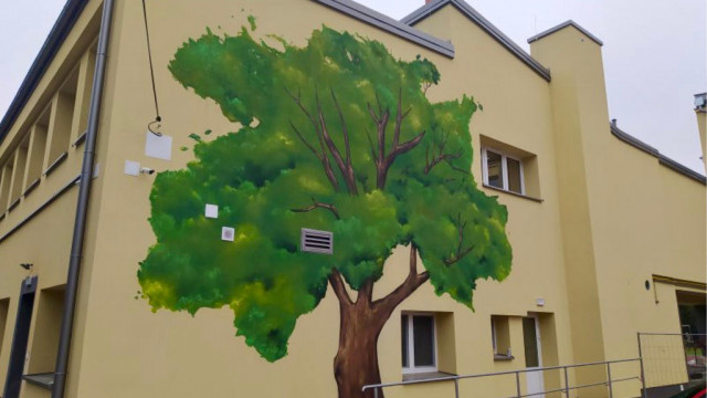Na ścianie szkoły wyrosło drzewo, które oczyszcza powietrze