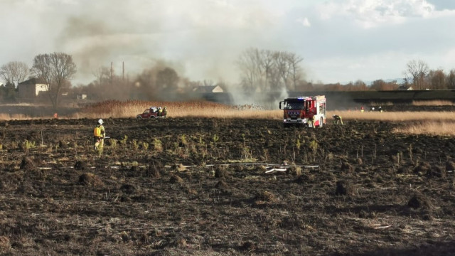 Niebezpieczne pożary w Gorzowie. Strażacy ujęli podpalacza – ZDJĘCIA!
