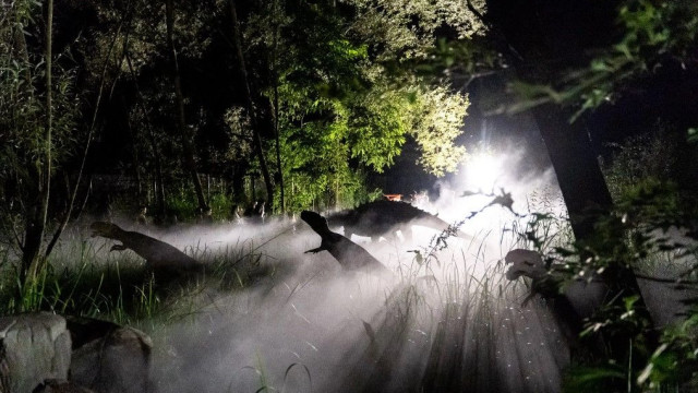 Nocne zwiedzanie Zatorlandu! „Dinozaury po zmroku” już w najbliższy weekend