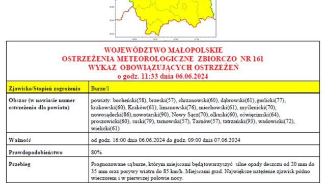 Ostrzeżenie Meteorologiczne nr 161 - Burze_1 stopnia