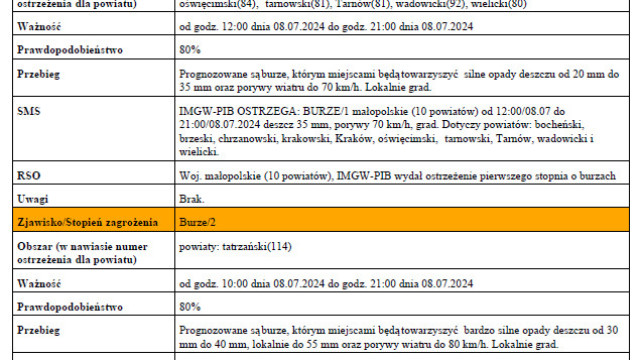 Ostrzeżenie meteorologiczne nr 219 Burze_1