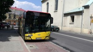 Oświęcim. Bezpłatane kursy autobusów po TLFO 2018