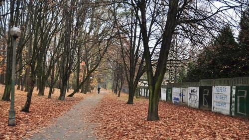 OŚWIĘCIM. Nocą przez park samemu lepiej nie chodzić