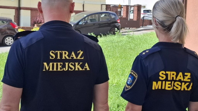 Oświęcim. Nowy referat w Straży Miejskiej. Strażnicy zajmą się nieprawidłowo zaparkowanymi samochodami